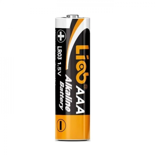 LiCB 40 Pack AAA Batteries, Long-Lasting Triple A Alkaline Batteries for Household